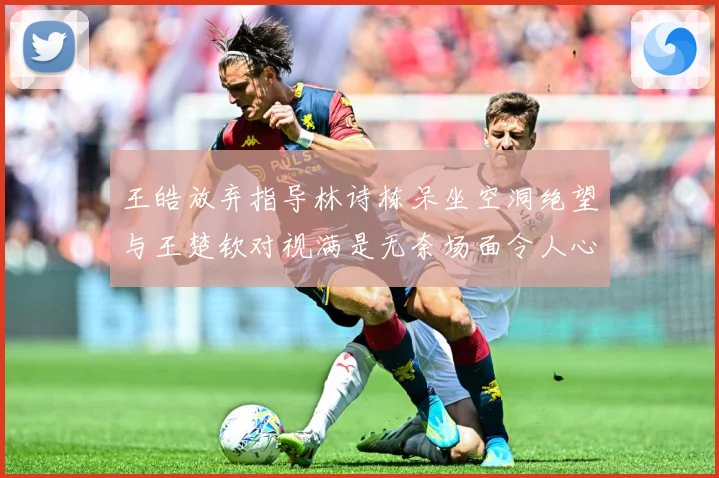 王皓放弃指导林诗栋呆坐空洞绝望与王楚钦对视满是无奈场面令人心赛场解读：最新赛事动态与深度分析